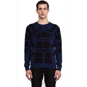 J. Lindeberg Molaro Bug Intarsia Sweater in Dark Blue Mens L Wool / Cotton